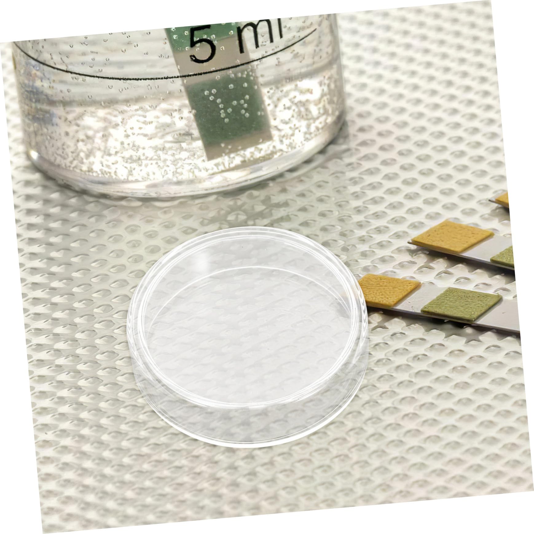 Ciieeo 10 Placas De Petri De Vidrio Experimentales Placas De Petri De Cultivo Placas De Petri Con Tapas Placas Científicas Placas De Petri De Laboratorio Placas De Petri De Agar