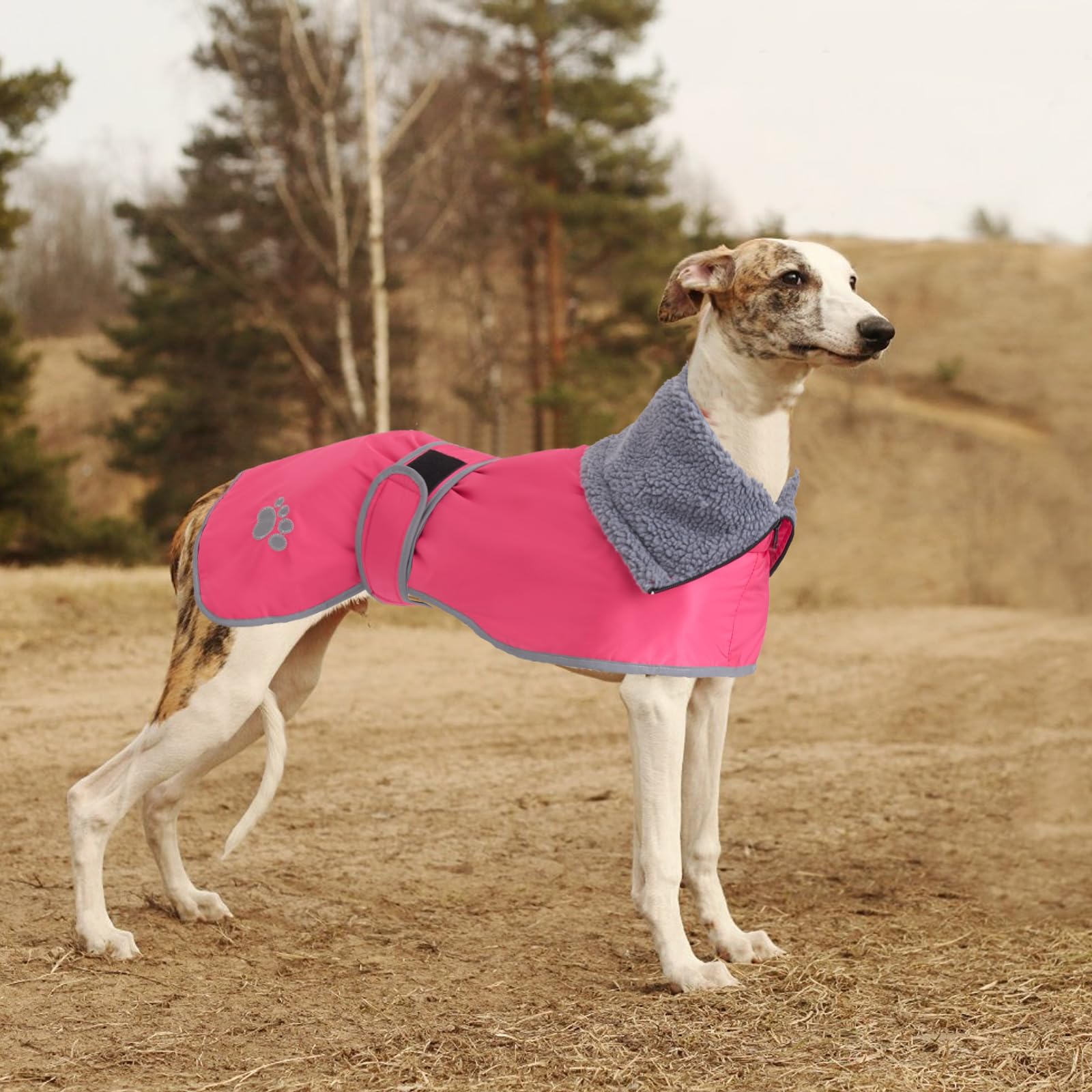 Geyecete Abrigo Invierno Impermeable para Perro Galgo, con Forro Polar cálido y Agujero del arnés, Térmico Chaquetas Ideal para Uso al Aire Libre, Perros medianos y Grandes-Rosa-L