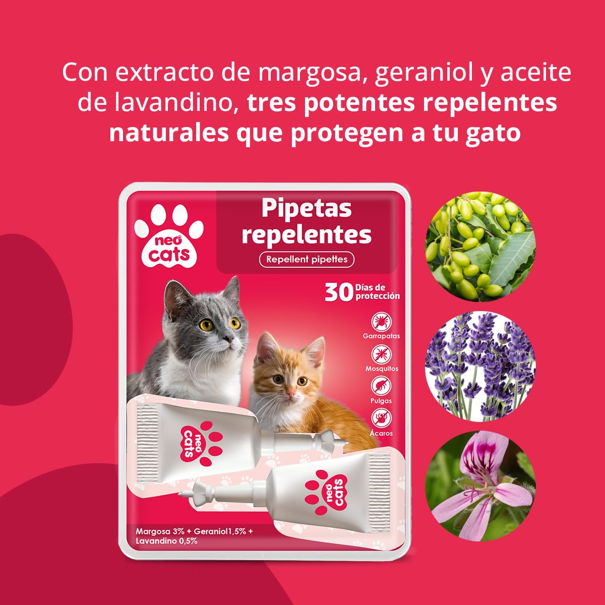 NEO CATS - Pipetas Repelente Anti-insectos para Gatos - Contra Pulgas, Garrapatas y Mosquitos - 30 días de Protección - Con Margosa, Geraniol y Lavandino - Olor Herbal - 2 unidades