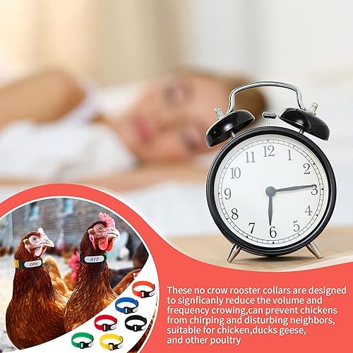 Shappy 48 Pieces Large Rooster Collar Crow Collar with Blank Label Anti Crow Noise Neck Belt Nylon Rooster Collar for Roosters Cockerel, Prevent Chicken from Screaming or Disturbing Neighbors