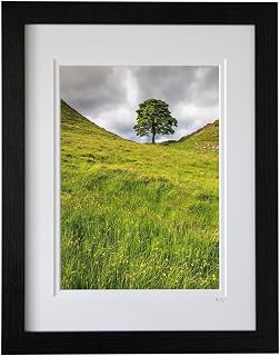 Mounted or framed photograph by Andrew Ray featuring Sycamore Gap in Northumberland National Park.