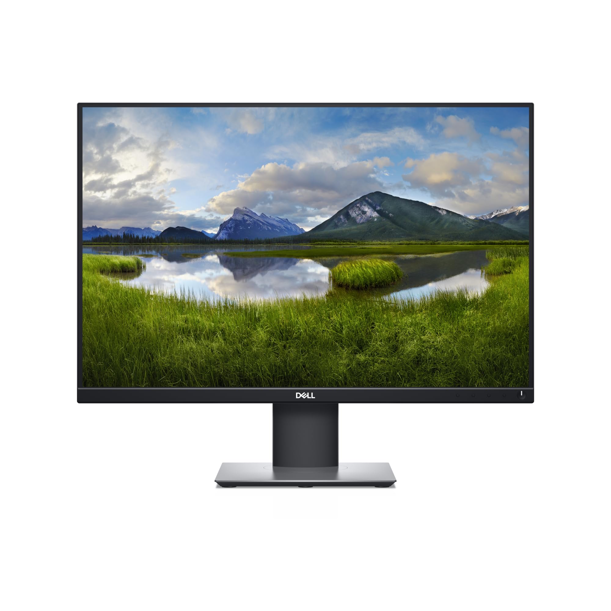 Dell 24 UXGA Wide Professional Monitor P2421