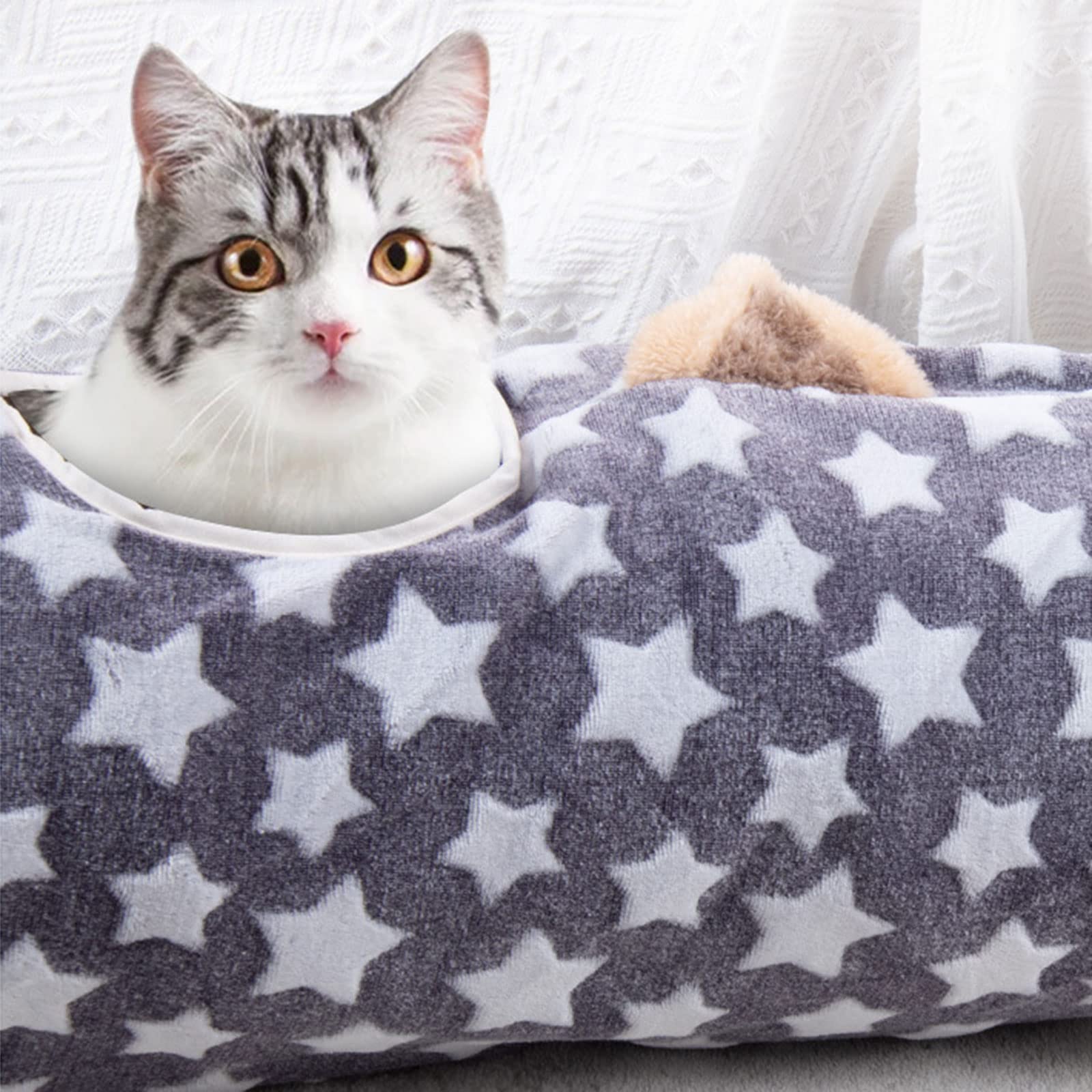 Tunnel per Gatti Casa a Scomparsa per Animali Domestici Nascondiglio Caldo Tubo Tenda da Gioco Letto per Gattini Palle Giocattolo interattive Case per Letti per Gatti all ' Aperto