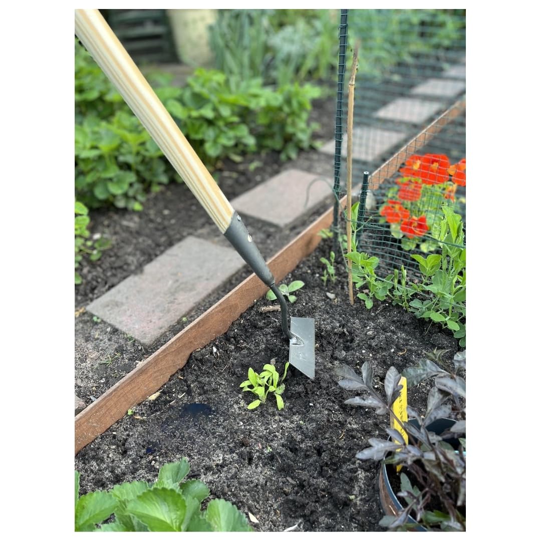 Gartenwerkzeug Set mit Gartenschoffel 12 cm und Außenbesen Grün, 160 cm und 117 cm Stahlstiel, zum Unkraut Entfernen, Erde Lockern sowie Kehren von Garten, Terrasse, Hof und Einfahrt