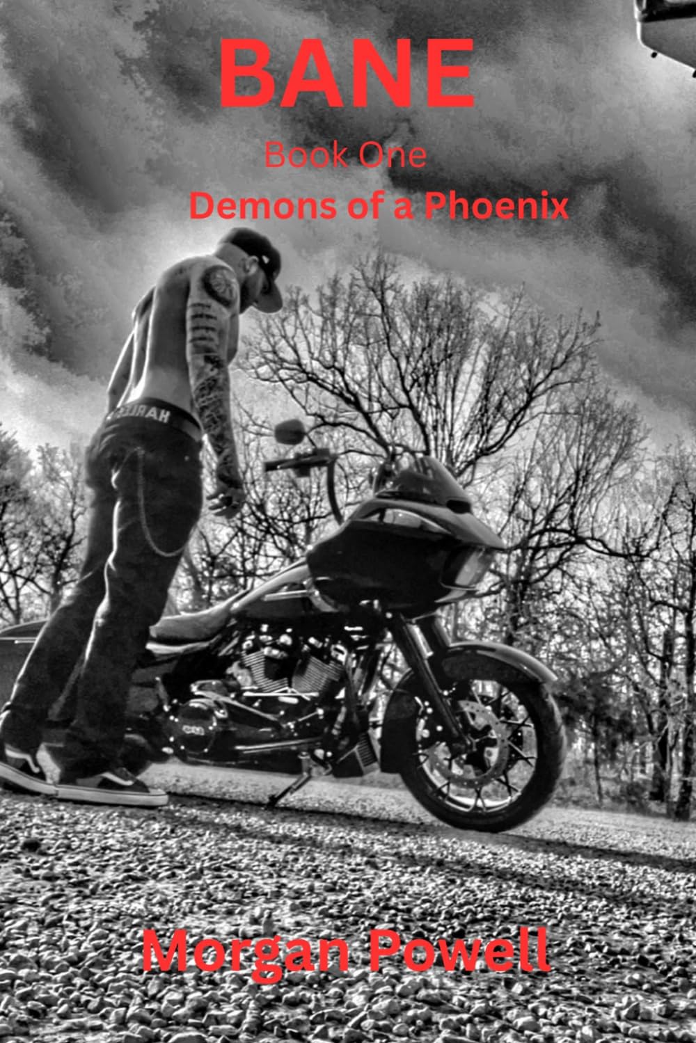 Bane (Demons of a Phoenix)
