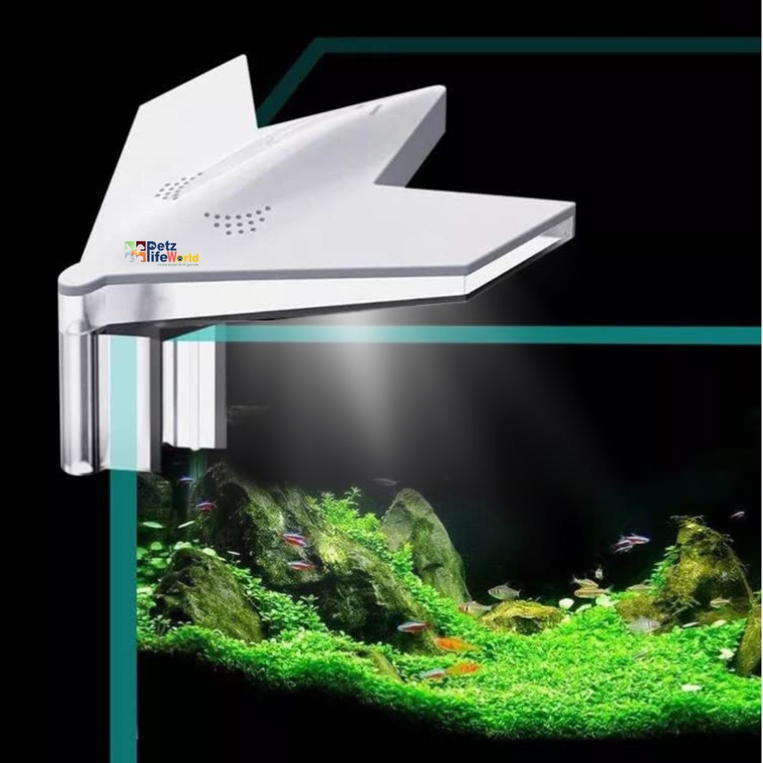 VAYINATO Jeneca X1 LED Mini Clip Light | Power : 4W | Suits for Bowl and 20-35 CM Aquarium Fish Tank (B0B9N89TJJ) Amazon Price History, Amazon Price Tracker