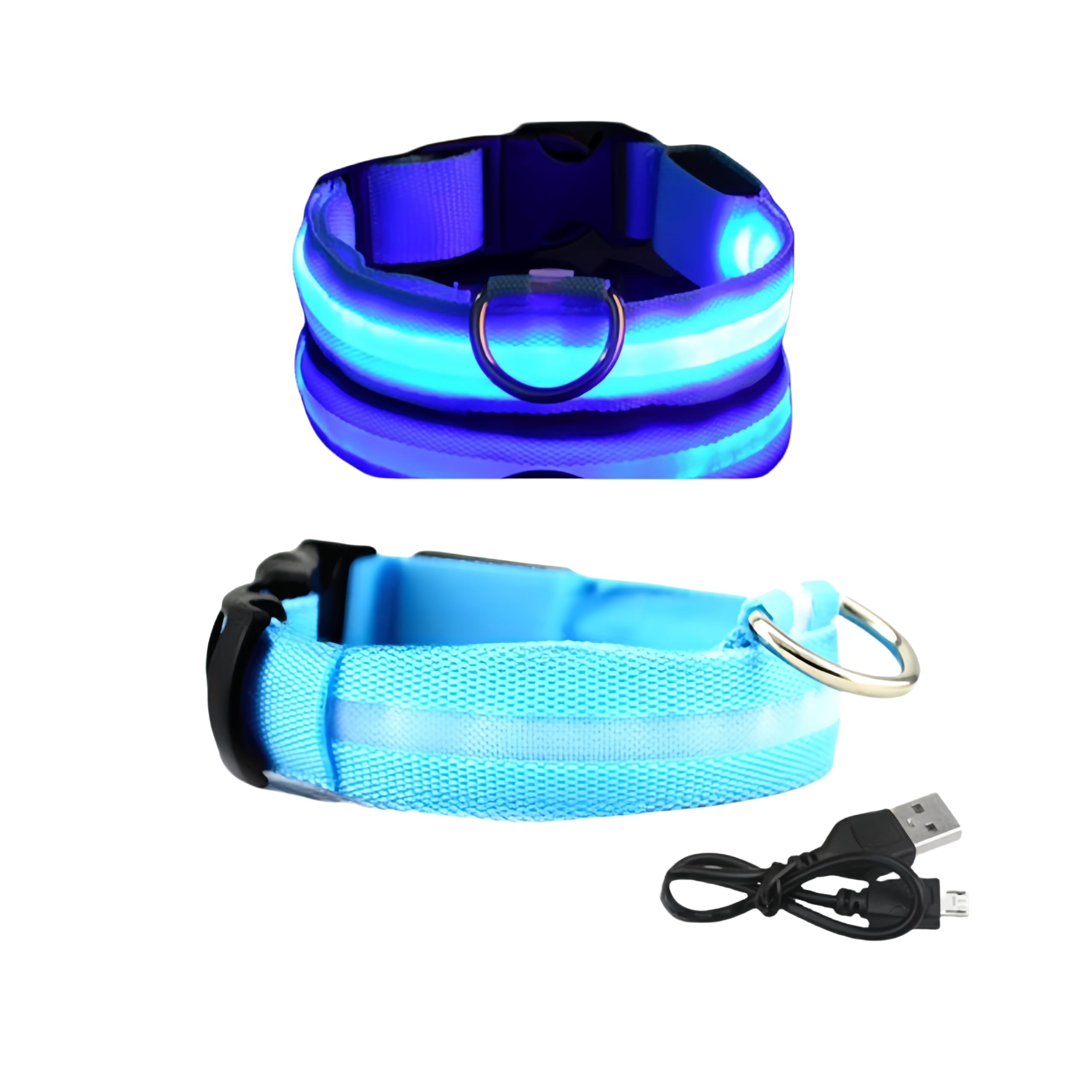 Collari per cani in nylon illuminati a LED, si illuminano al buio, ricaricabile tramite USB, collare di sicurezza notturna per cani (blu, M)