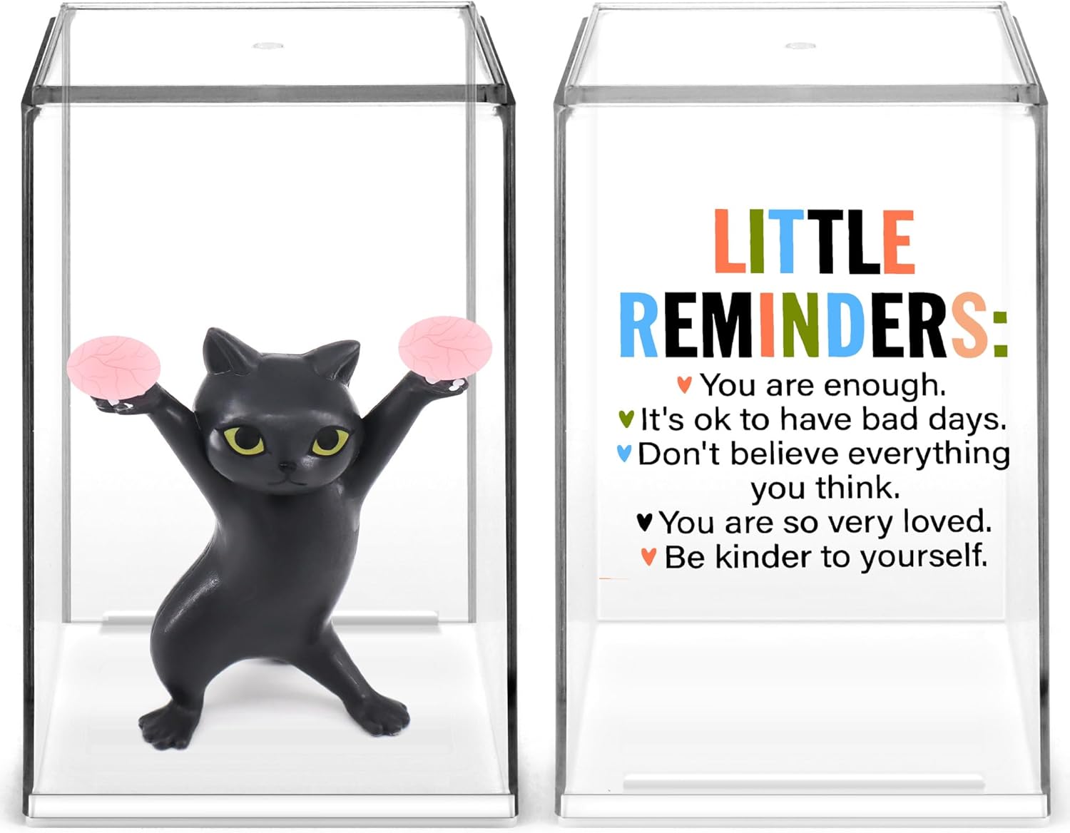 TSLOVER Little Reminders Inspirational Motivational Cat