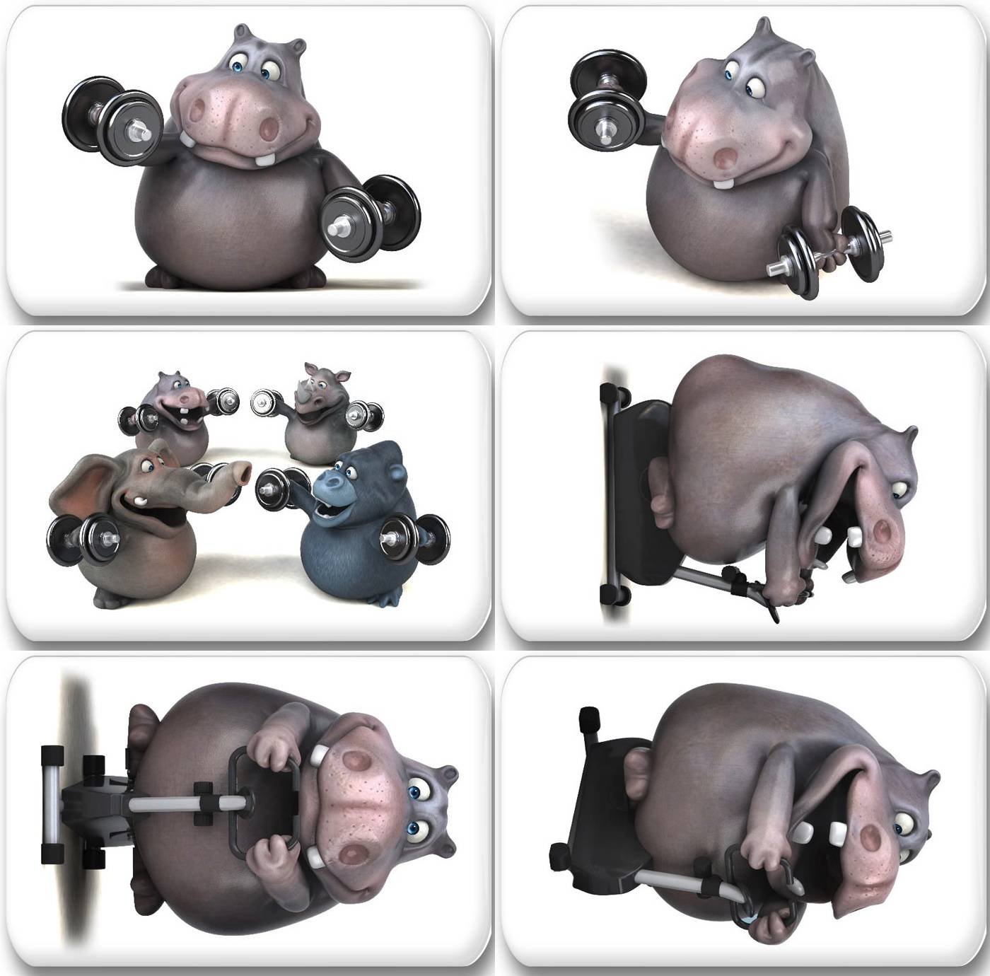 3D Nilpferd Kühlschrankmagnete – 6 Stück, 7x4,5 Cm, Mit Fotodruck, Made In Germany