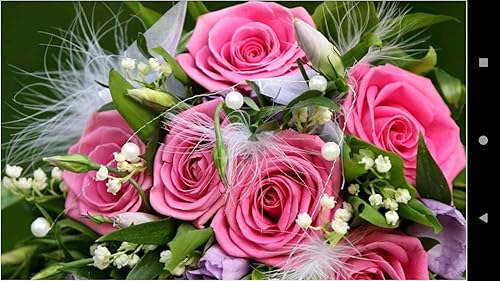 1049 Flowers Wallpapers