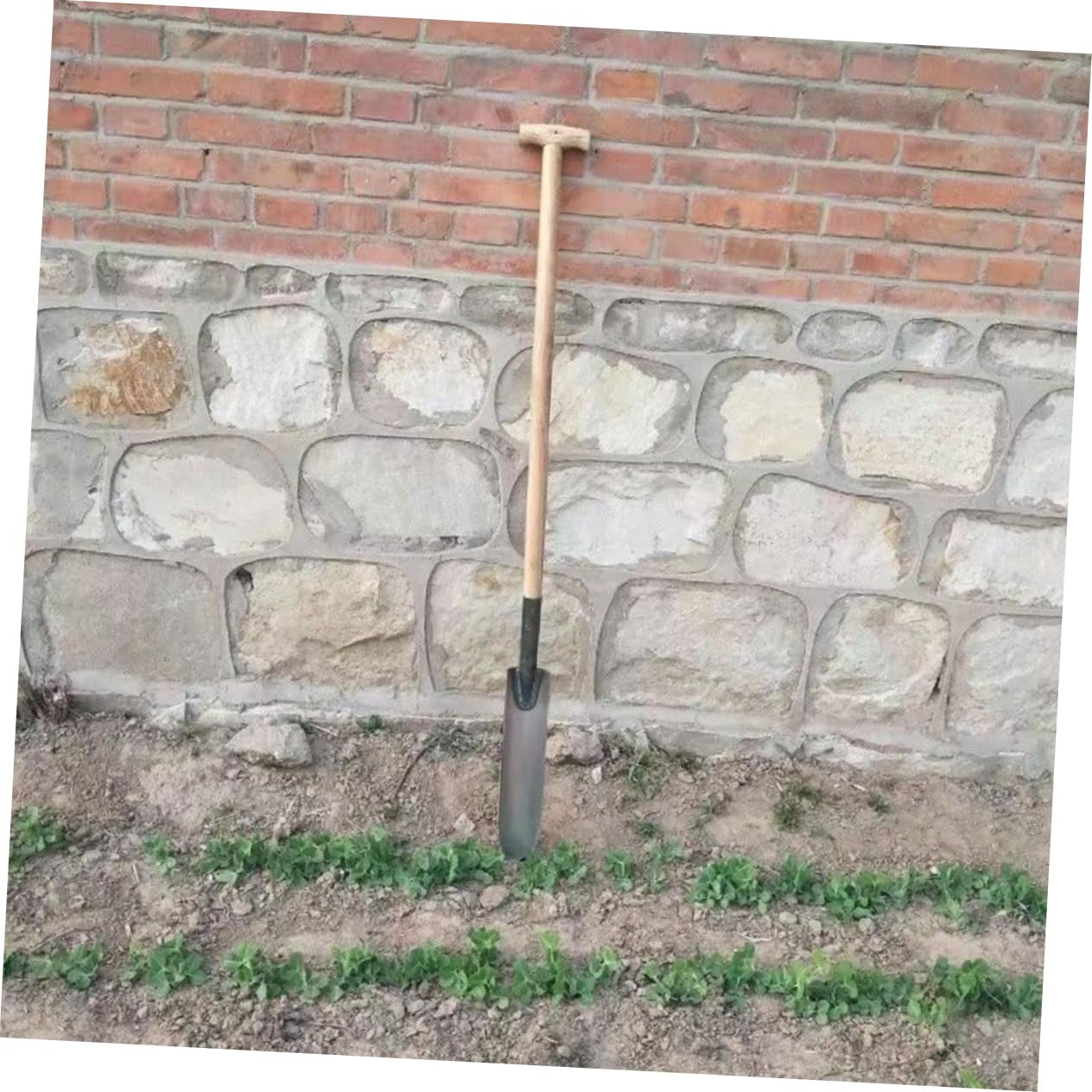 Happyyami Pala para Jardín de Acero Plata Herramienta para Plantar y Cultivar Suelo Adecuado para Huertos y Jardines Diseño Alargado y Punta Afilada