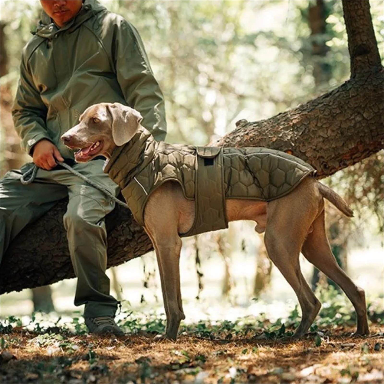 Manteau réfléchissant pour chien - Veste d'hiver matelassée chaude réglable pour petits chiens, moyens et grandes tailles(Gray,XXL)