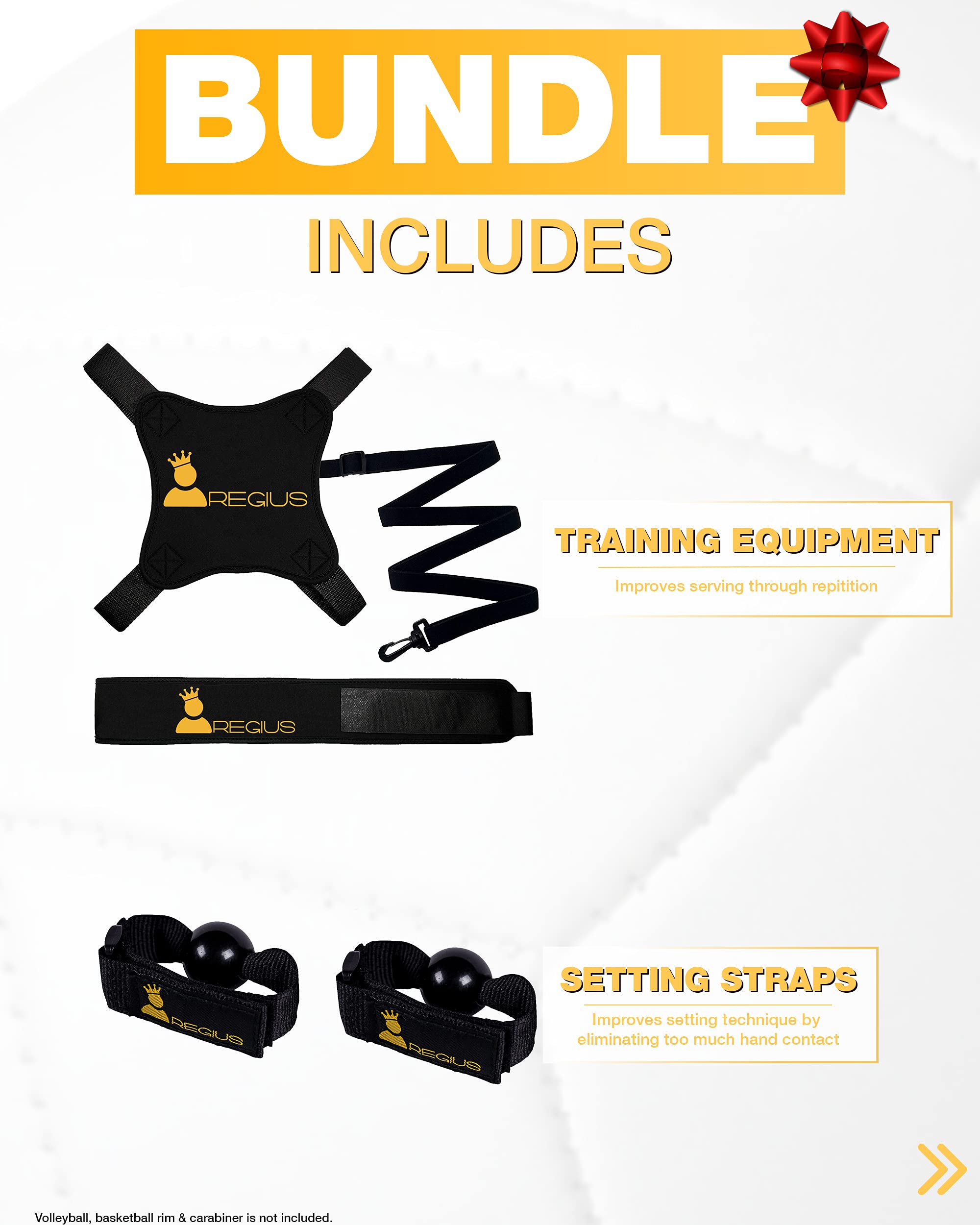 Regius Volleyball Training Equipment 3.0 Premium Solo Trainer