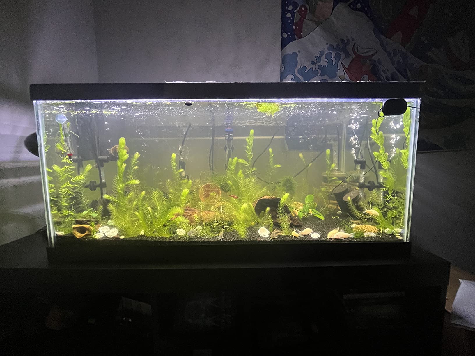 8/mo Finance hygger Full Spectrum Aquarium Light with Aluminum Alloy