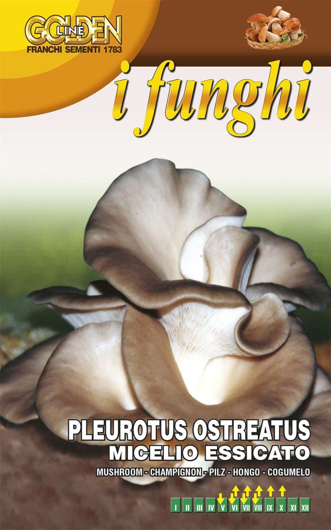 FRANCHI - Oyster Mushroom - PLEUROTUS OSTREATUS - 100G