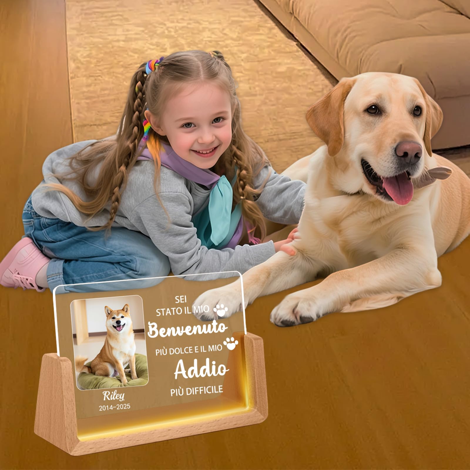 Luminaria Personalizzata per Cani,Lampada LED con Foto & Nome del Cane, Design con Cuore & Impronte, Regalo Commemorativo per la Perdita dell'Animale Domestico con Data (Style D)