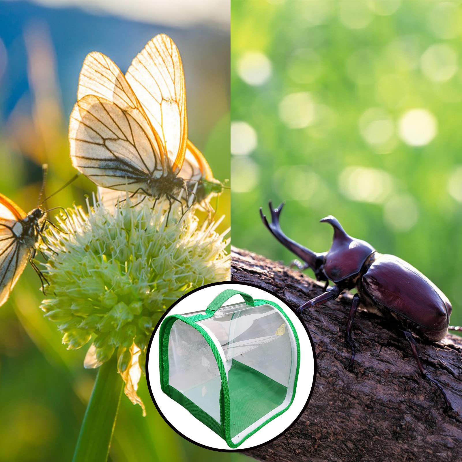 SYFUNLV Schmetterling Habitat Käfig, Faltbarer Transparent Netz Schmetterlingskäfig, Belüfteter Schutz Käfig Klappbar, Insektenhaus für Schmetterlinge, Libellen und Raupen Aufzucht
