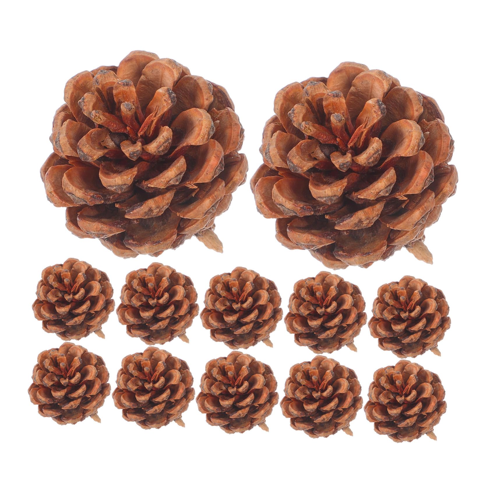 Pommes de pin naturelles miniatures x130 pour réussir vos DIY de Noël
