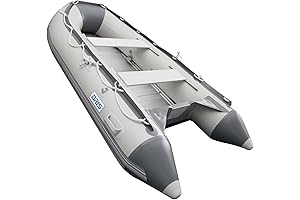 BRIS 9.8 ft Inflatable Boat for Yachts