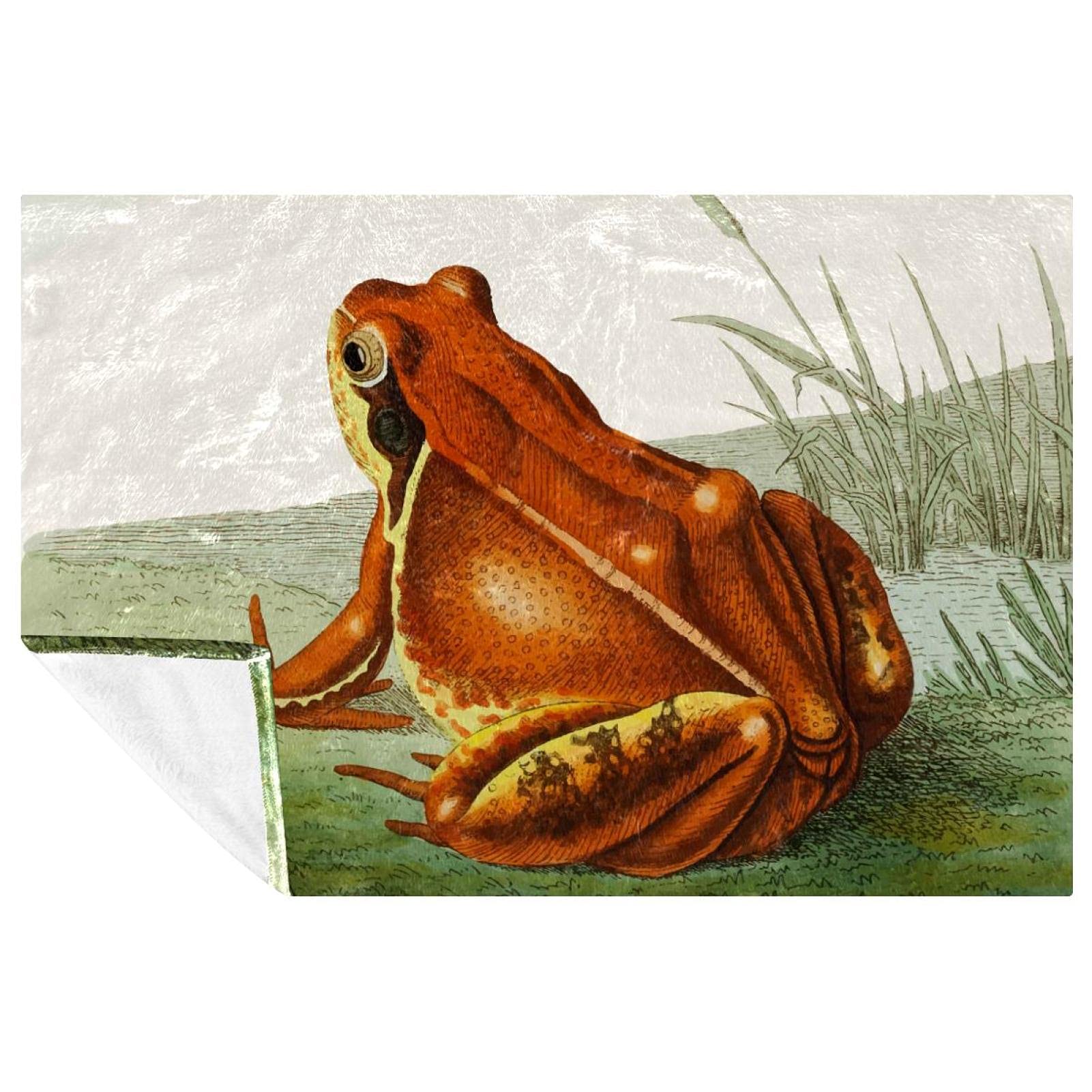 Couverture grenouille douce pour vos pique-niques et soirées camping en plein air 150x100 cm