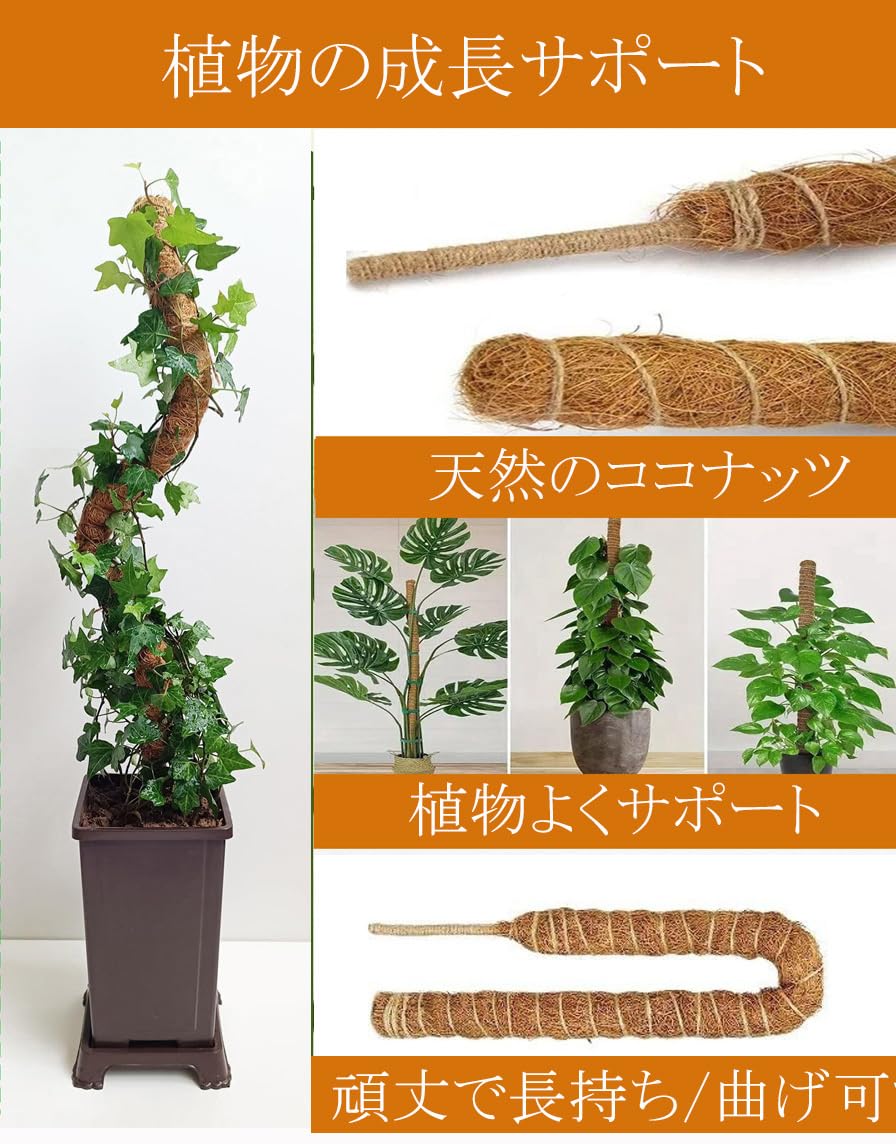 Amazon | モンステラ ポトス 観葉植物 支柱 30cm/120cm 2本セット つる