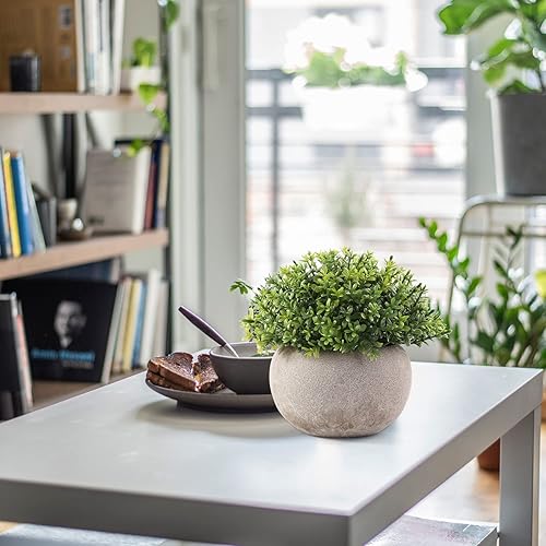 Miniatura 5 de Plantas falsas de plantas artificiales, mini bola de hierba sintética en macetas de papel, plantas suculentas artificiales para oficina, hogar,