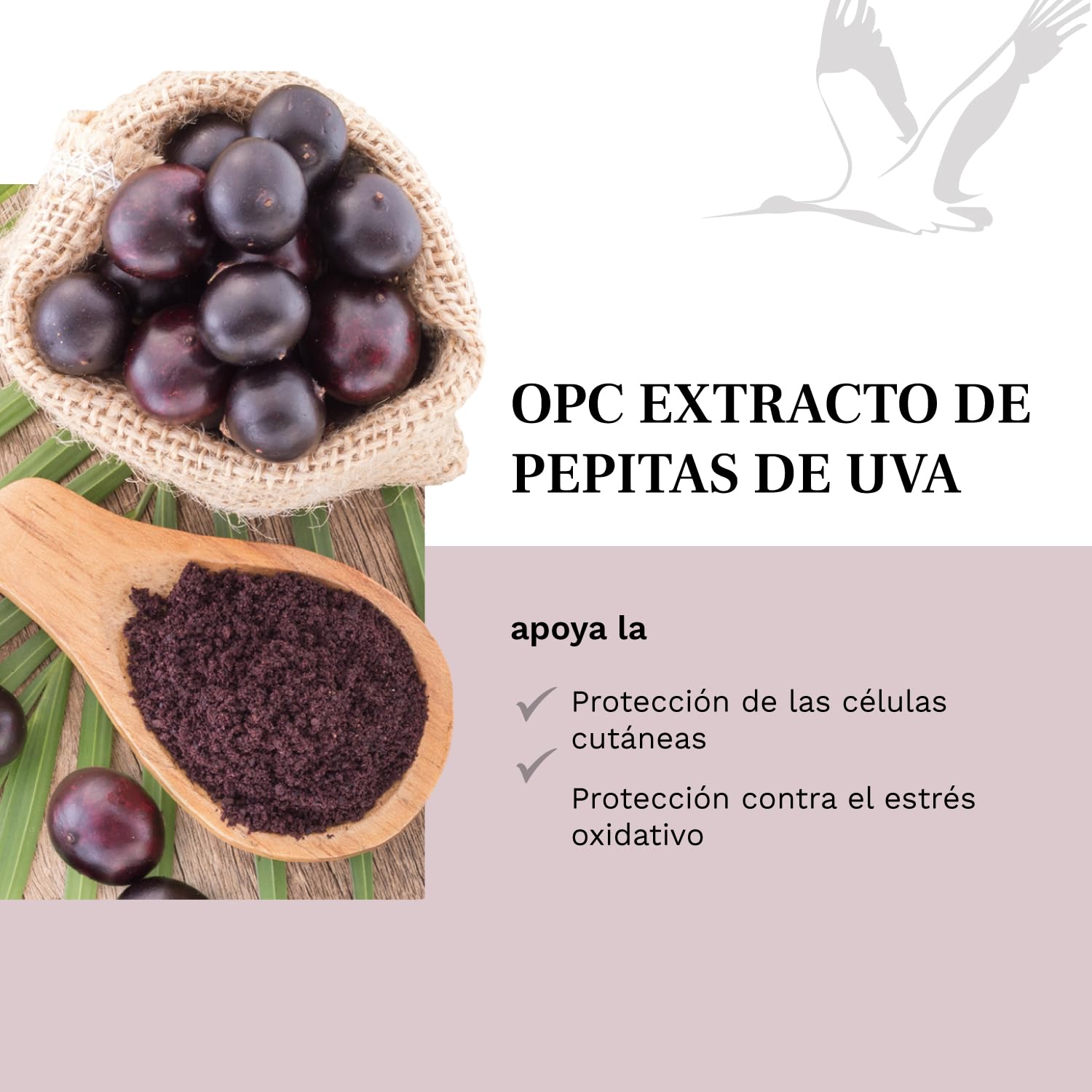 Extracto de semilla de uva OPC - 240 cápsulas veganas - Dosis diaria óptima: 500 mg de extracto por cápsula - Probado en laboratorio - Suministro para 8 meses - Sin aditivos - Fabricado en Alemania