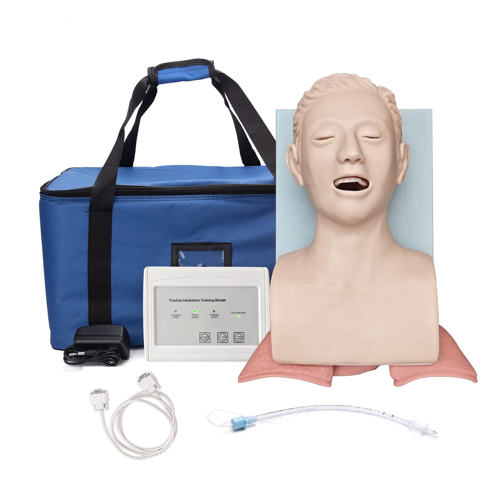 Manichino per Intubazione,modello educativo di gestione delle vie respiratorie per adulti, per la formazione in laboratorio scientifico (adulti)