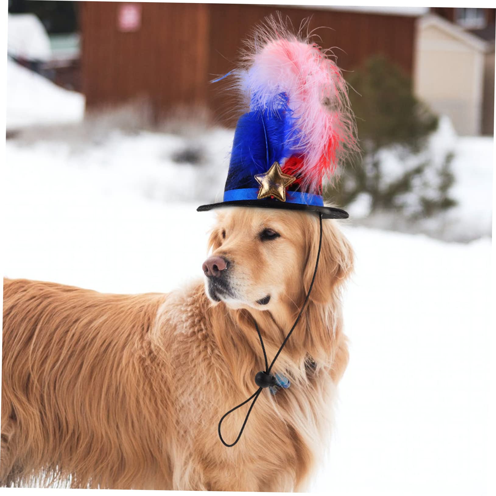FILOEEX Chapeaux de fête d'anniversaire pour enfants, bandeaux d'animaux sauvages pour poils d'animaux de la forêt vierge décorations (mélange A-14 pièces