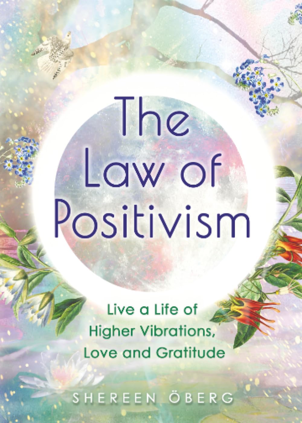 The Law of Positivism by Shereen Oberg (Paperback Book)