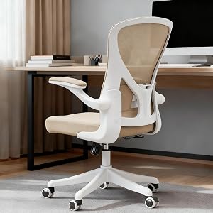 Ergonomic Office Chair with Adjustable Lumbar Support Flip-Up Armrests - High Back Computer Desk Chair with Thickened Seat