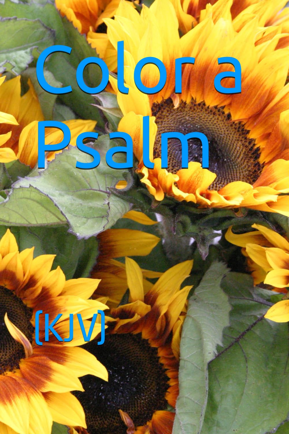 Color a Psalm: (KJV)