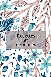 Carnet de Recettes et D&eacute;penses: Suivi simple et efficace des finances /comptabilit&eacute; / tr&eacute;sorerie &ndash; Id&eacute;al pour auto-entrepreneurs, petites entreprises ... Registre recettes / d&eacute;penses / solde