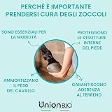 Ver la foto 6