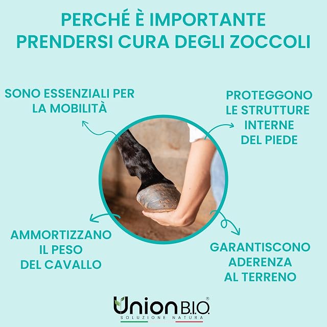 Foto 6 de 8 de Union Bio® Equiprofessional - Grasa para pezuñas de Caballo, 500 g, auténtica Manteca de karité, equitación…