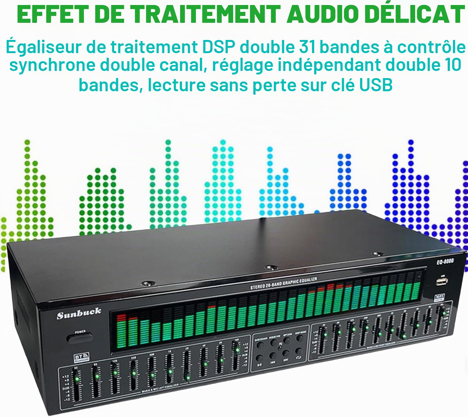 Égaliseur EQ Professionnel, Égaliseur Numérique 31 Bandes, Égaliseur Graphique Stéréo Audio Numérique, 12 Modèles de Rythme, Double Accordage Indépendant en 10 Segments, avec Réduction du Bruit