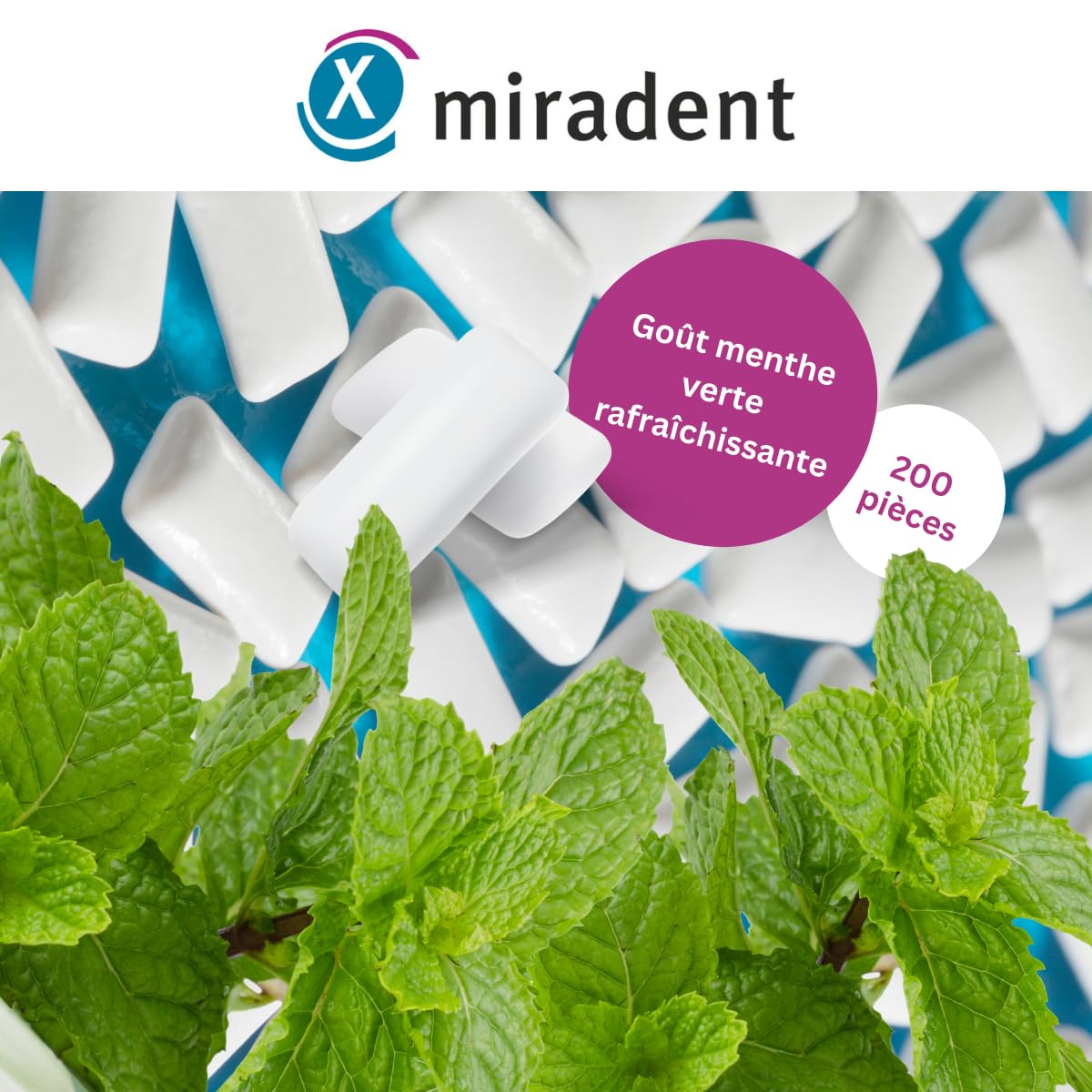 Miradent Chewing-gum dentaire au xylitol Pack économique 200 pcs goût Spearmint sans sucre vegan