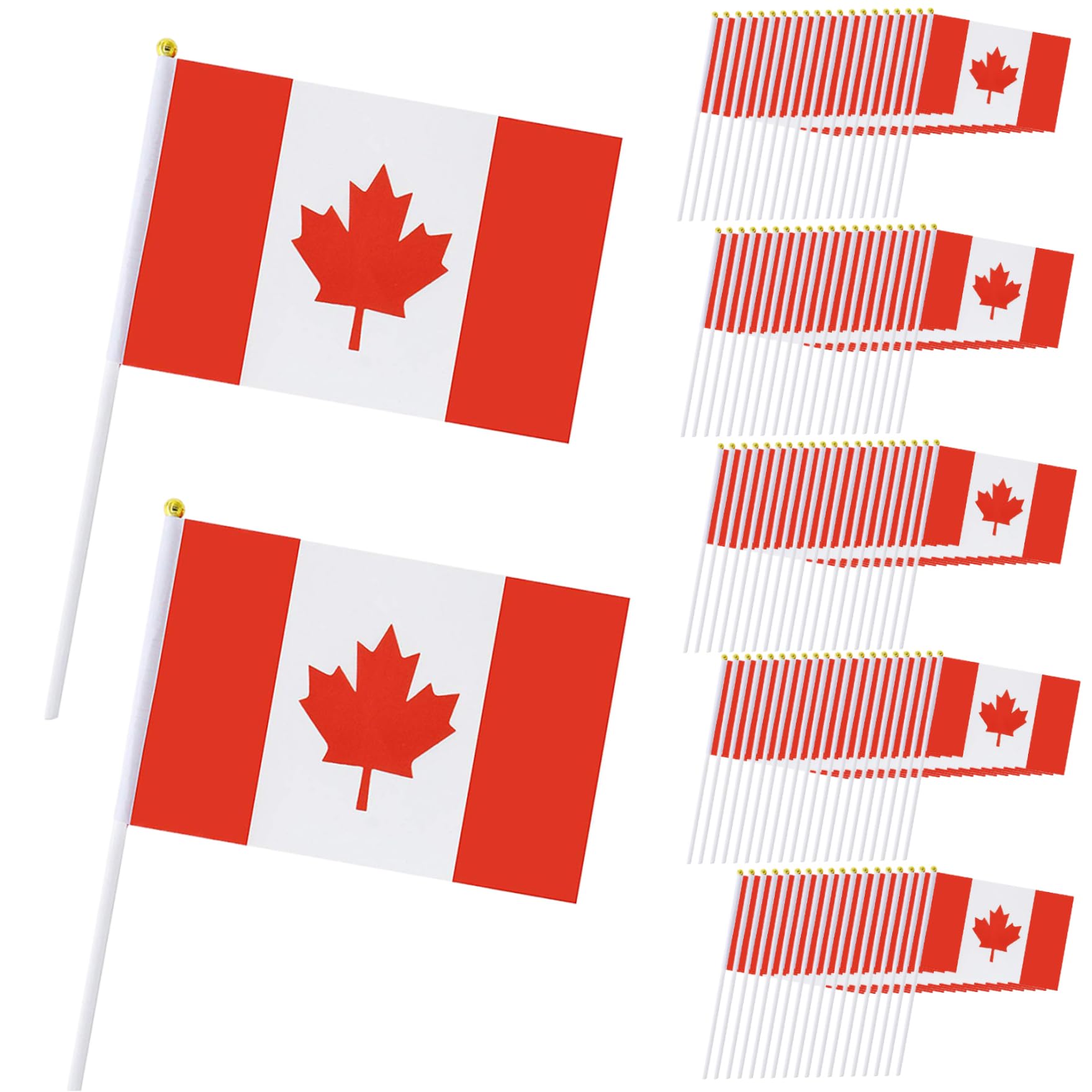 Petits drapeaux du Canada mini drapeaux canadiens vibrants pour terrains