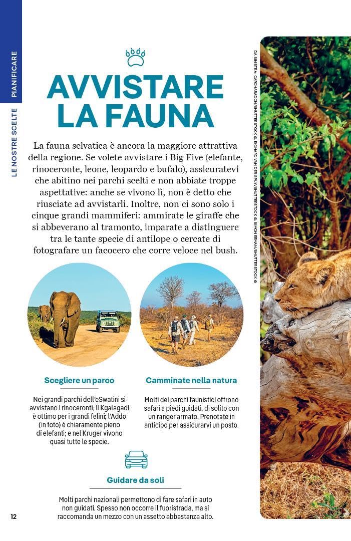 Sudafrica, Lesotho e eSwatini