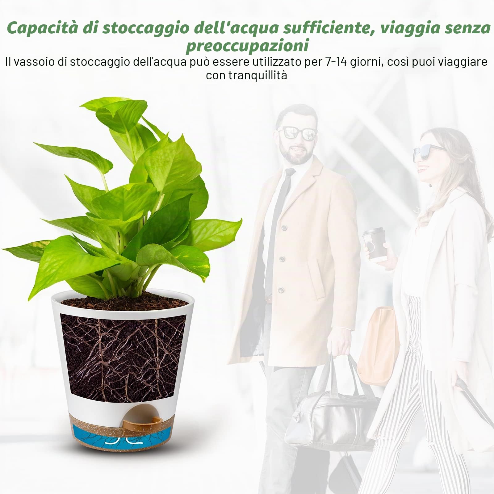 Ynnico - Vasi autoirriganti per piante da interni con fori di drenaggio e sottovasi, 20, 17, 16,5, 15,2, 14, 12,7 cm, confezione da 6 vasi, colore bianco
