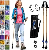 York Nordic Motivator Walking Poles: Patented Stability Grips for Balance & Rehab, Lightweight Adjustable Collapsible Trekking Poles 4'6"-6'2", 230 lbs