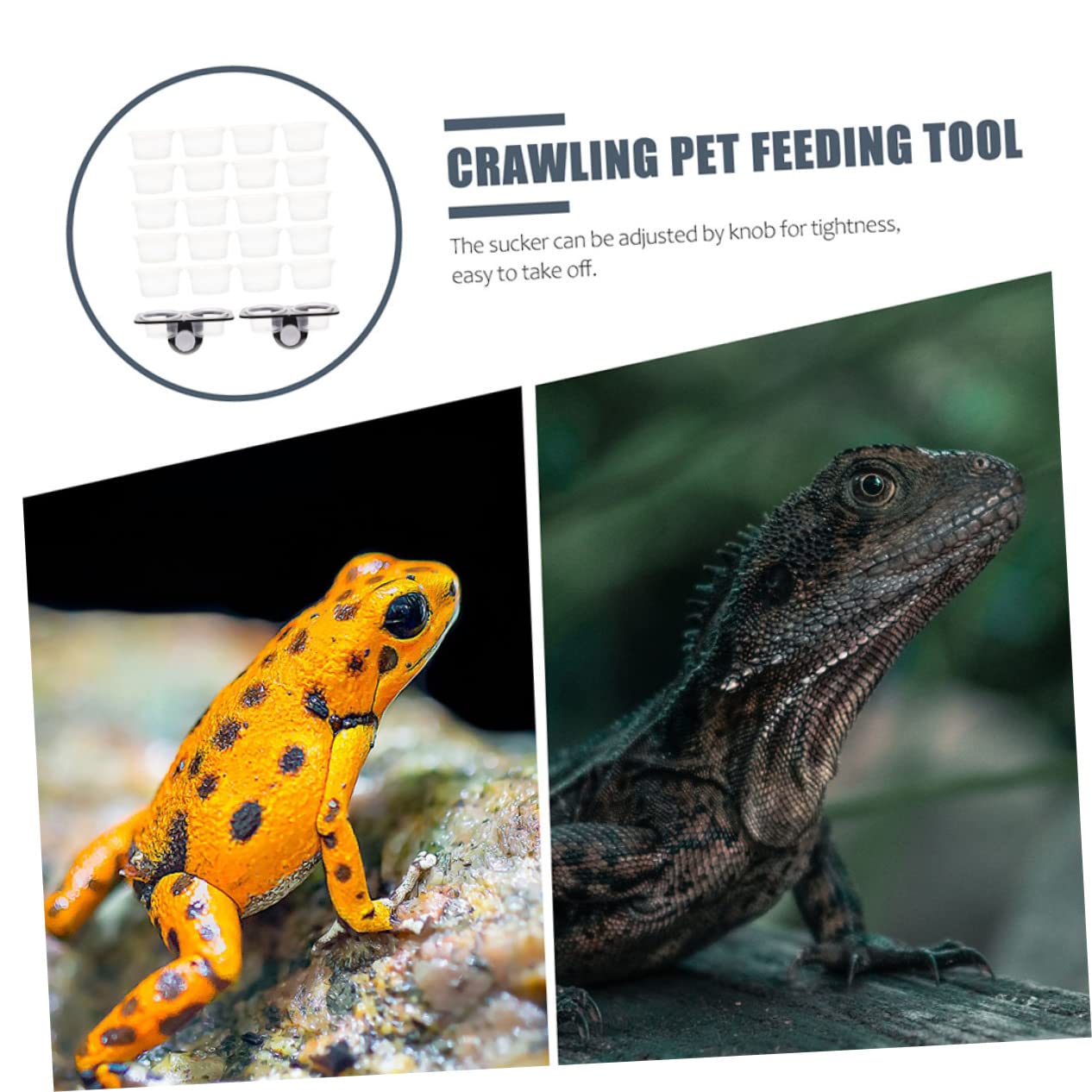 BESPORTBLE 4 Juegos Tazón De Reptil Comida De Gecko Crestado Plato De Agua De Reptil Suministros para Tanques De Reptiles Dispensador De Agua para Reptiles Tanque De Tortuga El Plastico Black