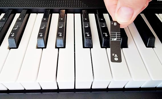 Piano Note Keyboard Sticker Label Large Bold Letters for Electronic Keyboards or Piano for Beginners Easy Learning tool 37/49/61/76/88 Key Piano Bright Colors