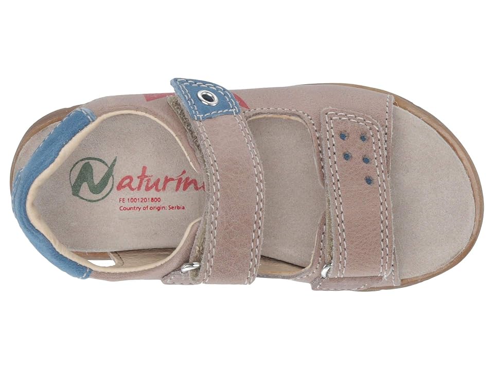 

Naturino Asama SS19 (Toddler/Little Kid) (Tan Multi) Girl's Shoes, Brown