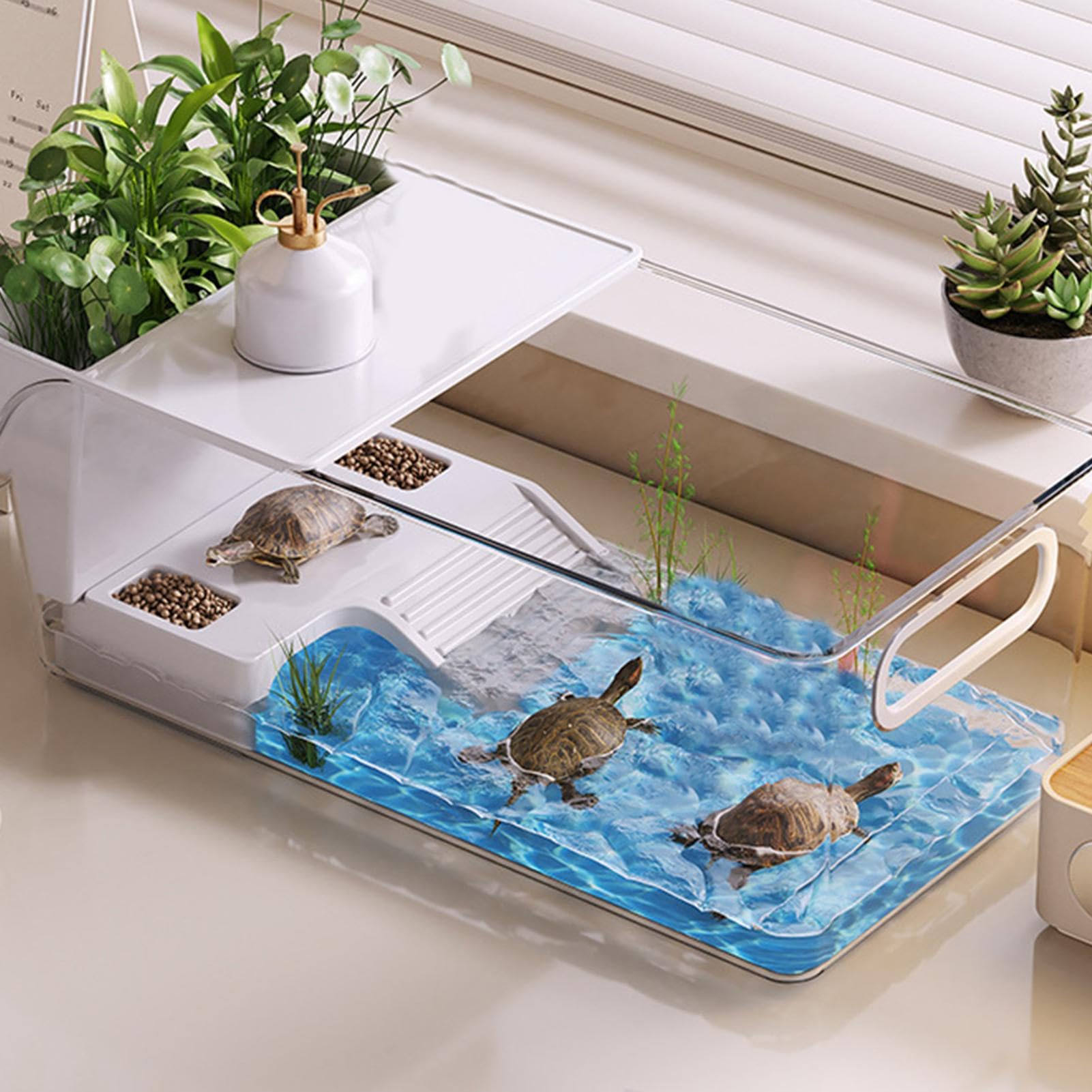 Vasca Per Tartarughe Trasparente, Zona Basking, Area Habitat, Box | Acquario Rettili Adatto A Granchi, Pesci, Anfibi, Rettili, Gamberi, Gechi, Piccoli Animali Da Compagnia