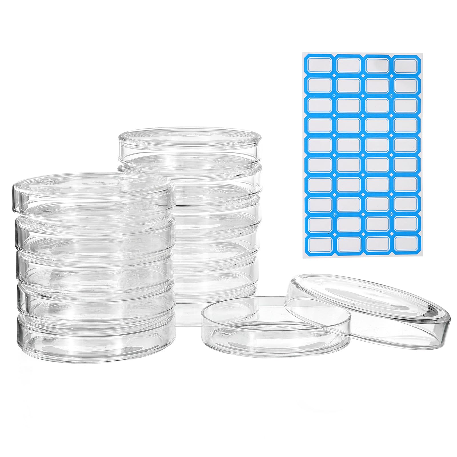 PATIKIL 12 Pezzi Vetreria Petri Con Coperchio 150 Mm Vetro Borosilicato Spesso Autoclavabile Piastre Coltura Laboratorio Etichette Per Esperimenti Scientifici Progetti Laboratorio