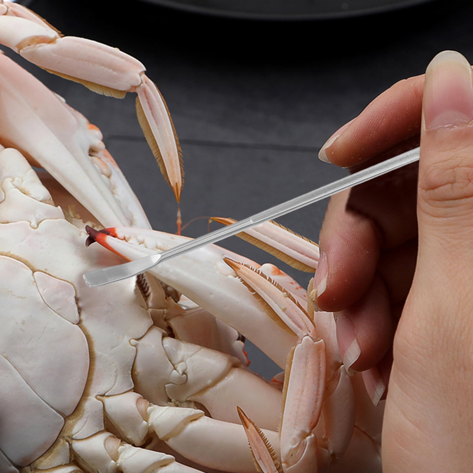 GARVALON Set di 8 Strumenti per Crostacei Pinza per Crostacei in Acciaio Inox, per Aprire Gusci di Granchio e Frutti di Mare Durante Pasto