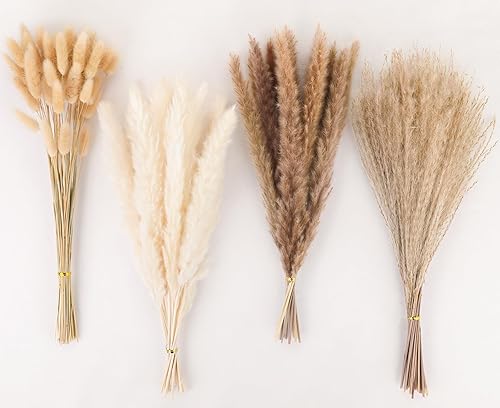 Miniatura 9 de 20 piezas de decoración de hierba de pampa blanca, hierba de pampa seca natural, relleno de jarrón corto de pompas a granel, plumas de flores secas