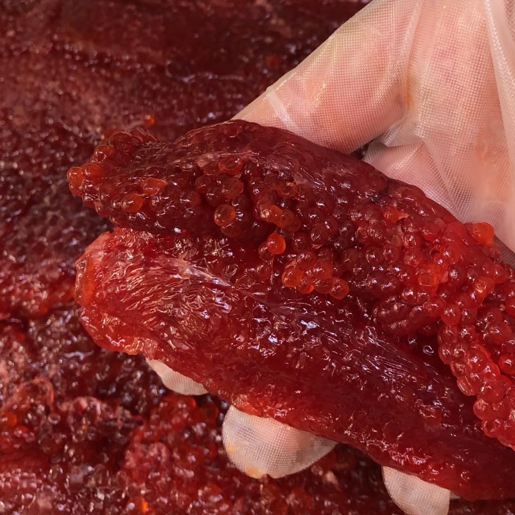 Amazon.co.jp: すじこ 塩筋子(切れ子)【訳あり天然紅鮭紅子】 450g 飯