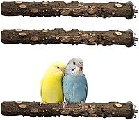 PINVNBY 3 Pack Natural Wood Bird Perches for Parrot Cage - Prickly Paw Grinding Stands for Cockatiel Parakeet Conure Small Medium Birds